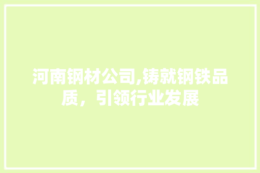 河南钢材公司,铸就钢铁品质，引领行业发展