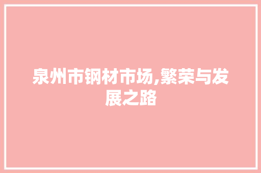 泉州市钢材市场,繁荣与发展之路