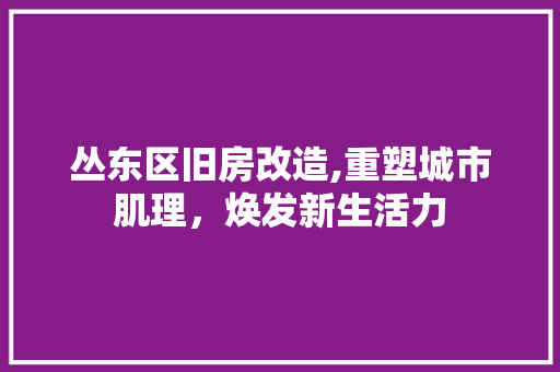 丛东区旧房改造,重塑城市肌理，焕发新生活力