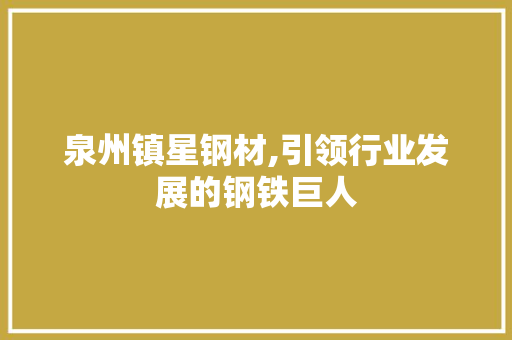 泉州镇星钢材,引领行业发展的钢铁巨人