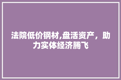 法院低价钢材,盘活资产，助力实体经济腾飞