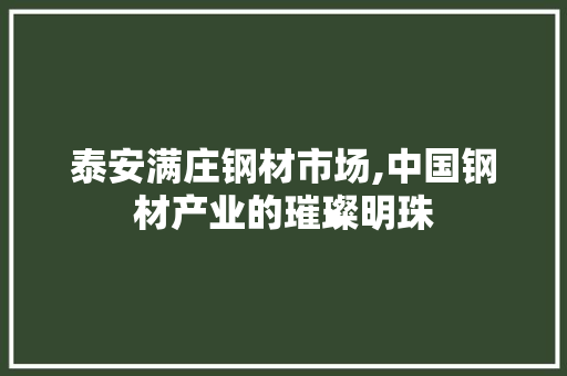 泰安满庄钢材市场,中国钢材产业的璀璨明珠