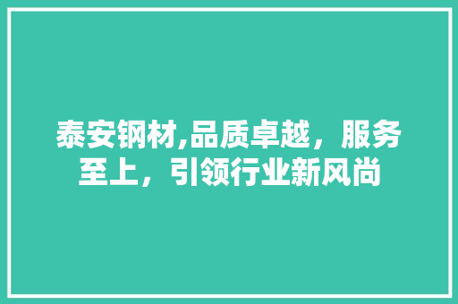 泰安钢材,品质卓越，服务至上，引领行业新风尚
