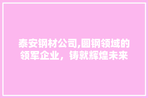 泰安钢材公司,圆钢领域的领军企业，铸就辉煌未来
