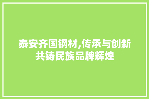 泰安齐国钢材,传承与创新共铸民族品牌辉煌