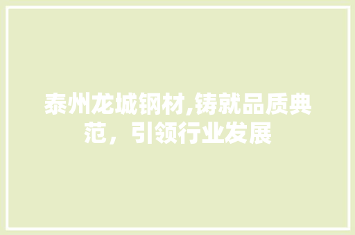 泰州龙城钢材,铸就品质典范，引领行业发展