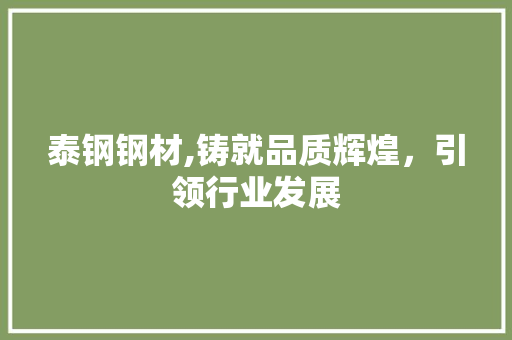 泰钢钢材,铸就品质辉煌，引领行业发展