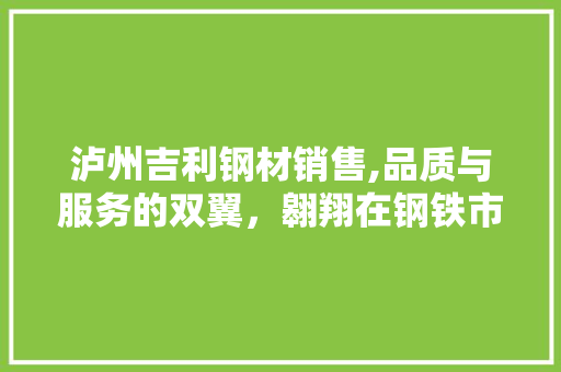 泸州吉利钢材销售,品质与服务的双翼，翱翔在钢铁市场的蓝天
