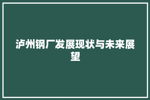 泸州钢厂发展现状与未来展望