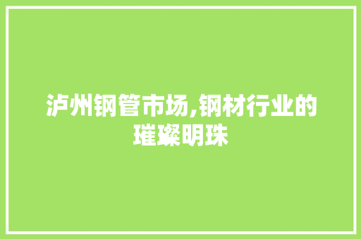 泸州钢管市场,钢材行业的璀璨明珠