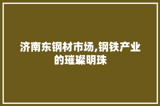 济南东钢材市场,钢铁产业的璀璨明珠