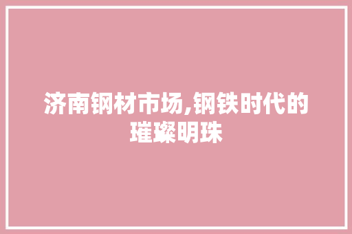 济南钢材市场,钢铁时代的璀璨明珠