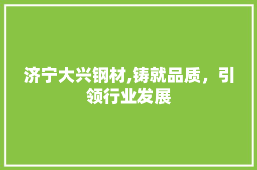 济宁大兴钢材,铸就品质，引领行业发展