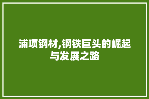 浦项钢材,钢铁巨头的崛起与发展之路