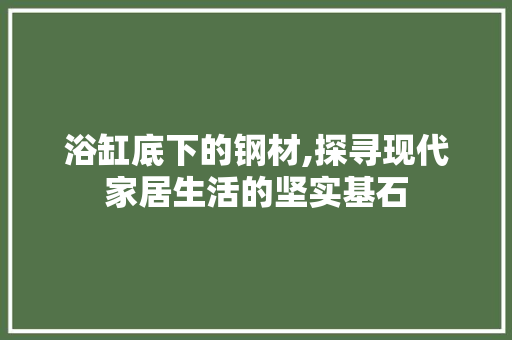 浴缸底下的钢材,探寻现代家居生活的坚实基石
