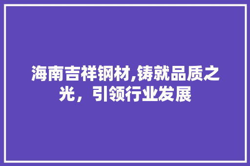 海南吉祥钢材,铸就品质之光，引领行业发展