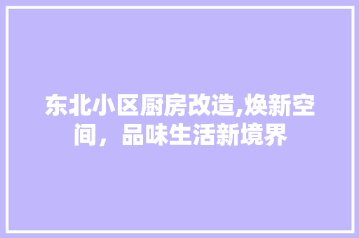 东北小区厨房改造,焕新空间，品味生活新境界