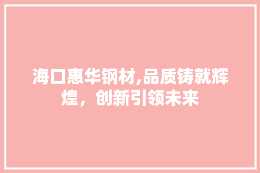 海口惠华钢材,品质铸就辉煌，创新引领未来