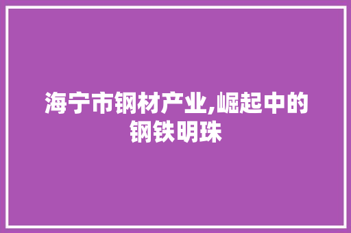 海宁市钢材产业,崛起中的钢铁明珠