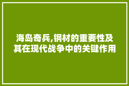 海岛奇兵,钢材的重要性及其在现代战争中的关键作用