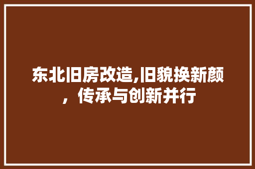 东北旧房改造,旧貌换新颜，传承与创新并行