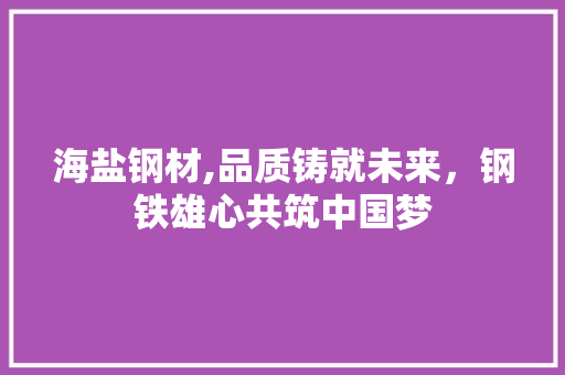 海盐钢材,品质铸就未来，钢铁雄心共筑中国梦