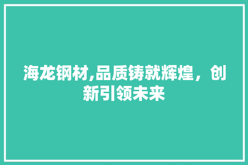海龙钢材,品质铸就辉煌，创新引领未来