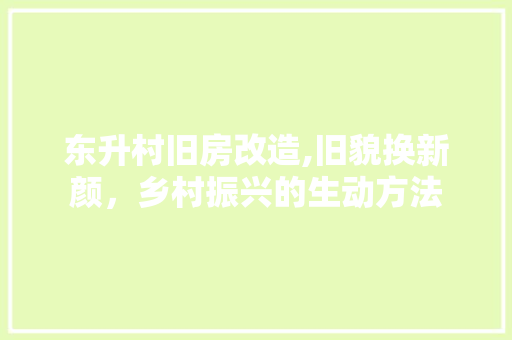 东升村旧房改造,旧貌换新颜，乡村振兴的生动方法