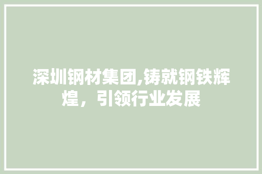 深圳钢材集团,铸就钢铁辉煌，引领行业发展