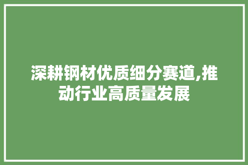 深耕钢材优质细分赛道,推动行业高质量发展