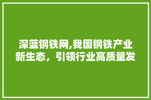 深蓝钢铁网,我国钢铁产业新生态，引领行业高质量发展