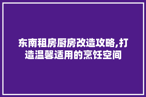 东南租房厨房改造攻略,打造温馨适用的烹饪空间