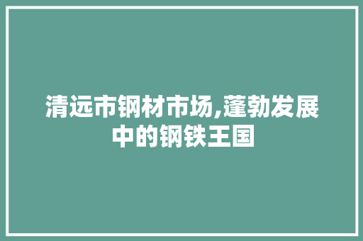 清远市钢材市场,蓬勃发展中的钢铁王国