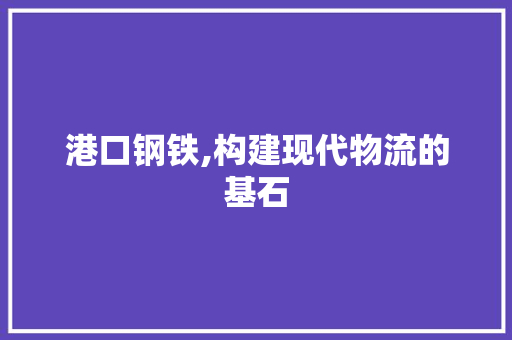 港口钢铁,构建现代物流的基石