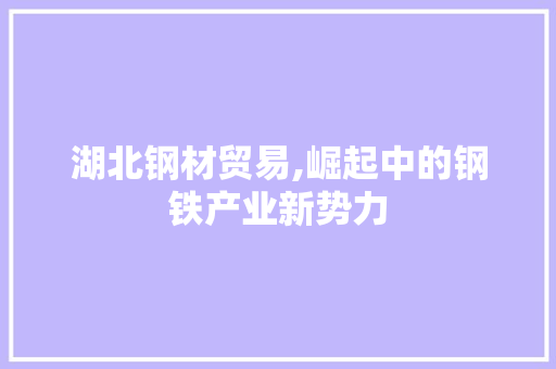 湖北钢材贸易,崛起中的钢铁产业新势力
