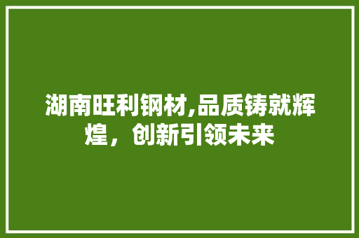 湖南旺利钢材,品质铸就辉煌，创新引领未来