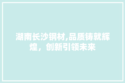 湖南长沙钢材,品质铸就辉煌，创新引领未来