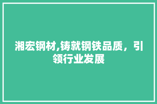 湘宏钢材,铸就钢铁品质，引领行业发展