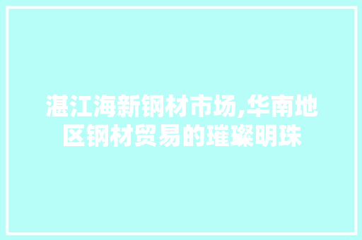 湛江海新钢材市场,华南地区钢材贸易的璀璨明珠
