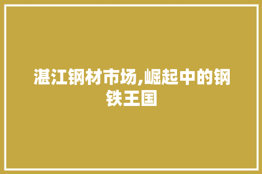 湛江钢材市场,崛起中的钢铁王国