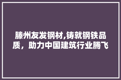 滕州友发钢材,铸就钢铁品质，助力中国建筑行业腾飞