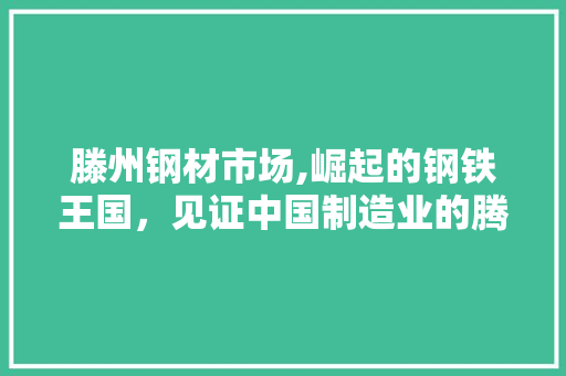 滕州钢材市场,崛起的钢铁王国，见证中国制造业的腾飞
