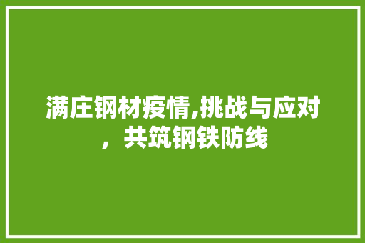 满庄钢材疫情,挑战与应对，共筑钢铁防线