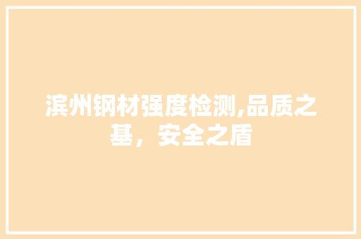 滨州钢材强度检测,品质之基，安全之盾