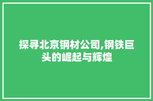 探寻北京钢材公司,钢铁巨头的崛起与辉煌