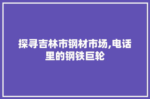 探寻吉林市钢材市场,电话里的钢铁巨轮