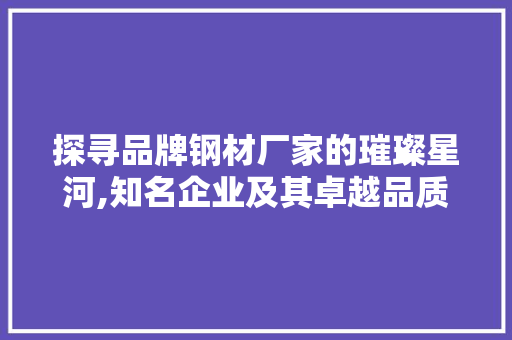 探寻品牌钢材厂家的璀璨星河,知名企业及其卓越品质