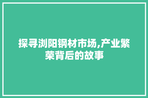 探寻浏阳钢材市场,产业繁荣背后的故事
