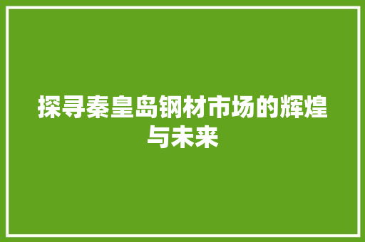 探寻秦皇岛钢材市场的辉煌与未来