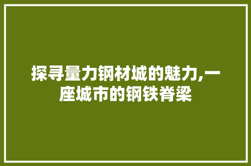 探寻量力钢材城的魅力,一座城市的钢铁脊梁